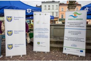 Na rynku stoją trzy roll-upy informacyjne. W tle widać namioty i kamienice.